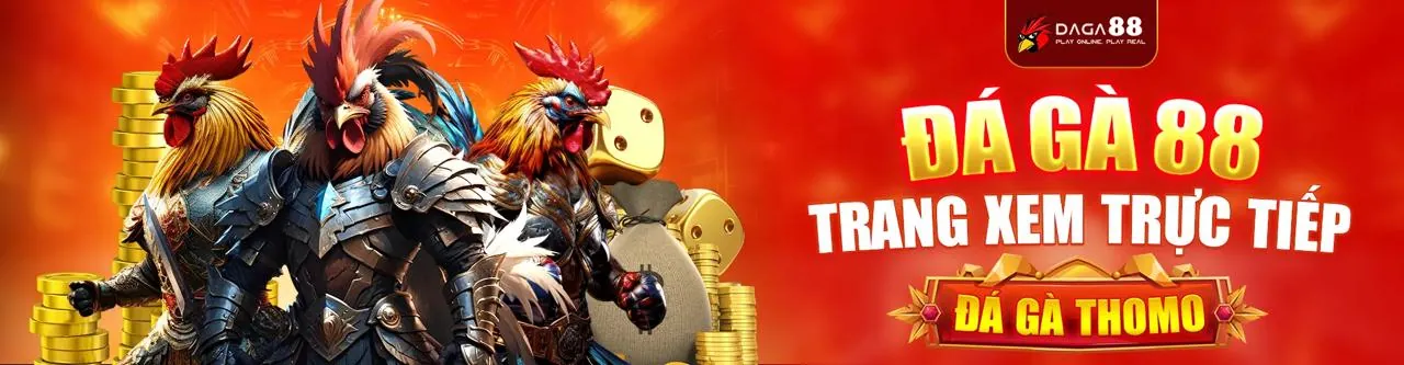 Minh họa các loại Cookie của xibet đăng nhập